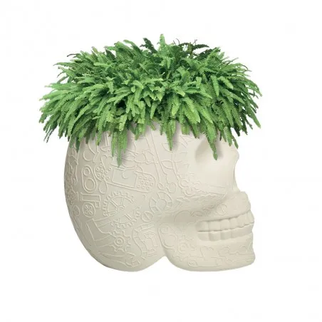 Skull Head Planter And Champagne Bucket  Retro Ornaments £236.00      product_features