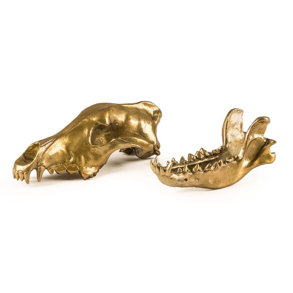 'Diesel Living with Seletti' Wolf Skull Seletti Seletti £154.00      product_features