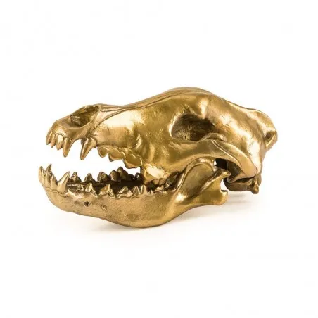 'Diesel Living with Seletti' Wolf Skull Seletti Seletti &pound;154.00 product_features