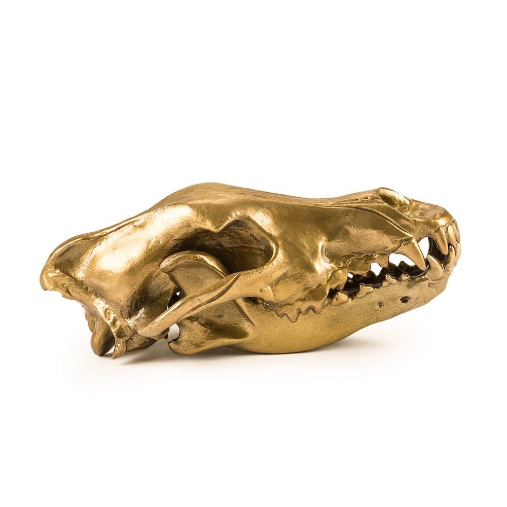 'Diesel Living with Seletti' Wolf Skull Seletti Seletti £154.00      product_features