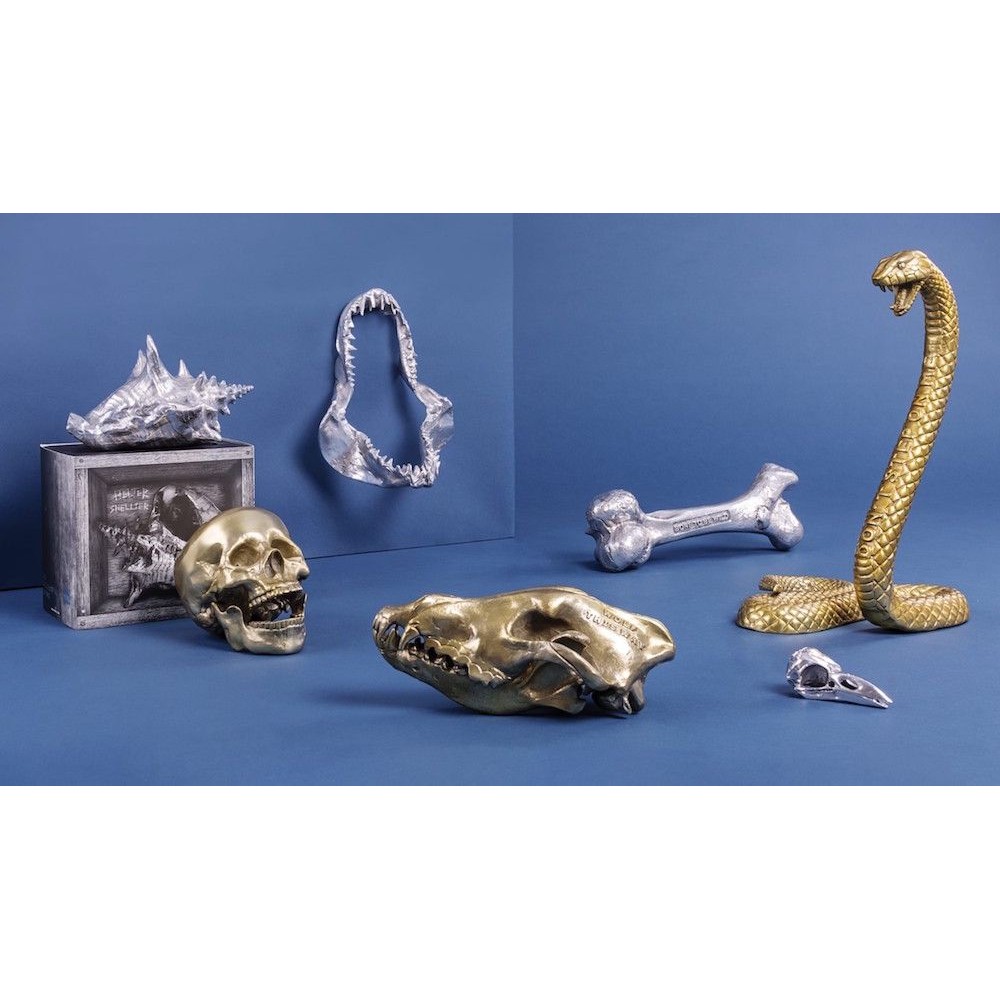 'Diesel Living with Seletti' Wolf Skull Seletti Seletti £154.00      product_features