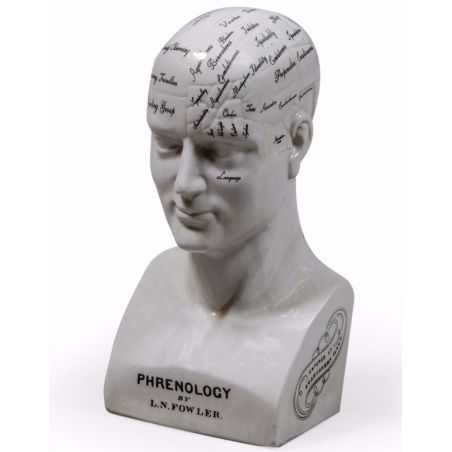 Phrenology Head Smithers Archives Smithers of Stamford £81.25 Store UK, US, EU, AE,BE,CA,DK,FR,DE,IE,IT,MT,NL,NO,ES,SE