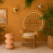 rattan chair peacock