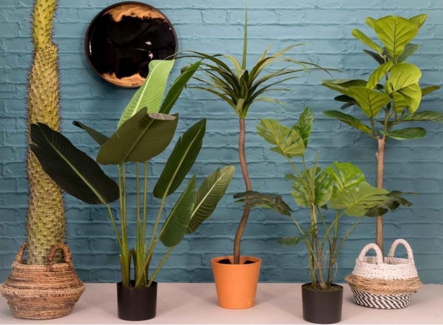 Best Fake Plants - Trees & Artificial Outdoor * Indoor