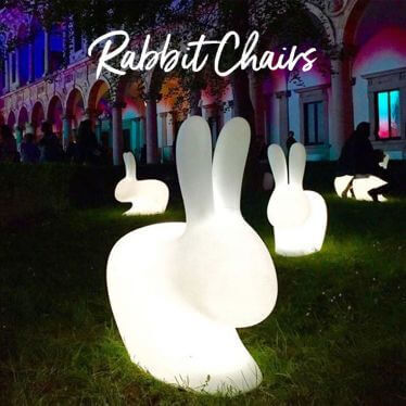 Rabbit chairs